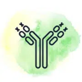 In Vivo Antibodies